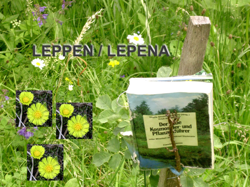 01_leppen_lepena