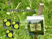 01_leppen_lepena