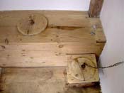 23_hahnengesang_fuer_gross_und_klein