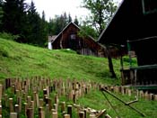38_holzmahd_von norbert_klavora_2005