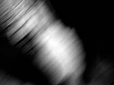 15_R0013436