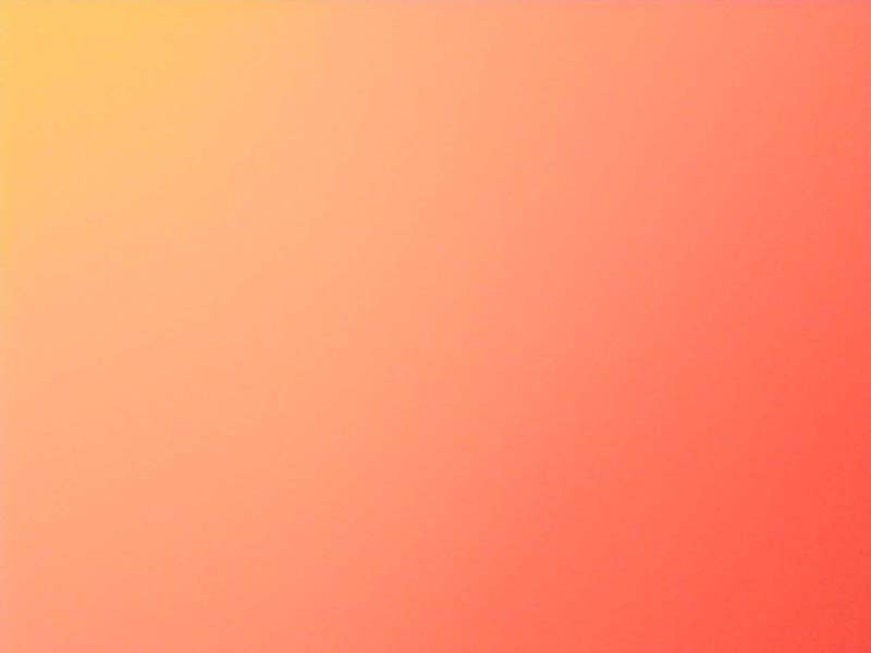 205