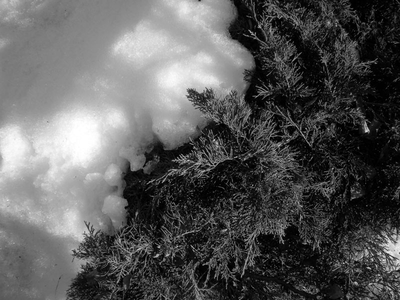 05_DSCN6670