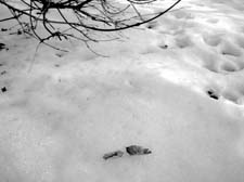 01_DSCN1757
