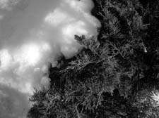 05_DSCN6670