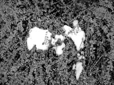 06_DSCN6686