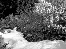07_DSCN6666