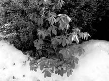 08_R0011342
