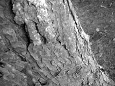 09_DSCN6682