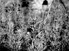 12_DSCN1688