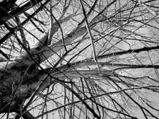 13_DSCN1698