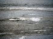 11_DSCN1075