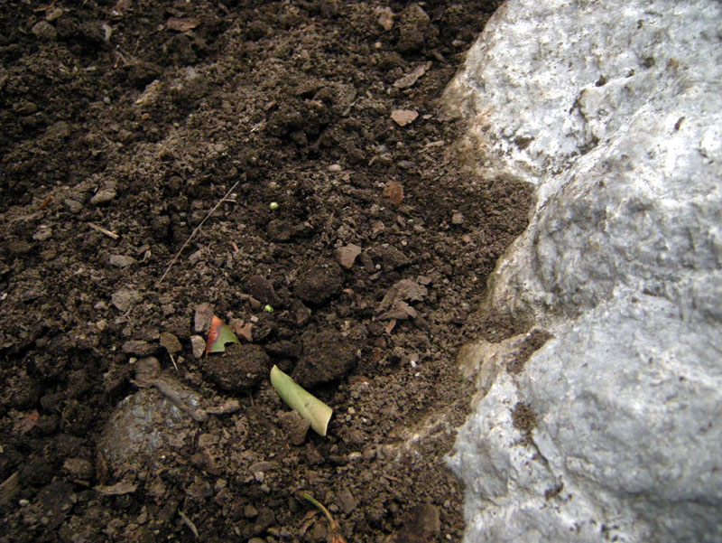 06_DSCN1114