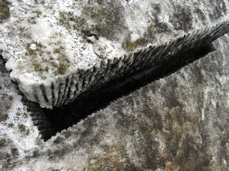 14_R0010905