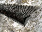 01_DSCN6856