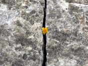02_DSCN6857