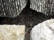 03_DSCN6859