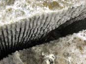 04_DSCN6860