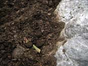 06_DSCN1114