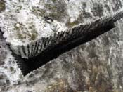 14_R0010905