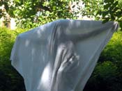 01_DSCN6936