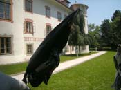 05_DSCN1229