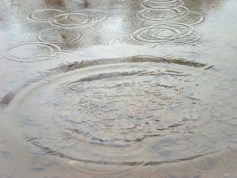 02_DSCN1460