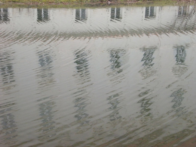 08_DSCN1474
