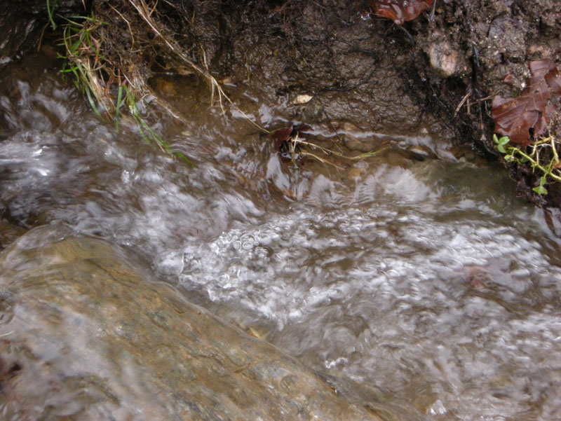 12_DSCN1346