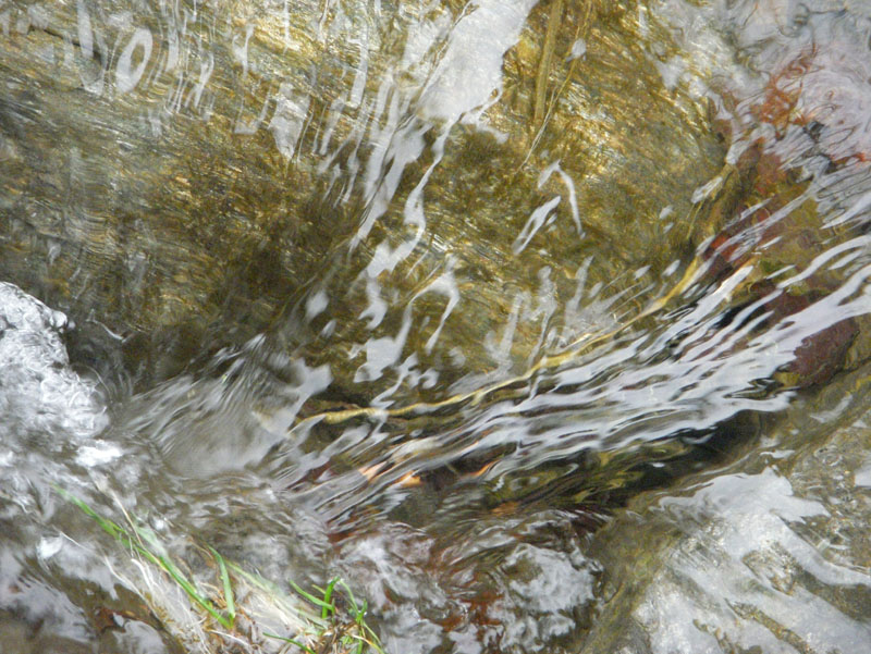 15_DSCN5180