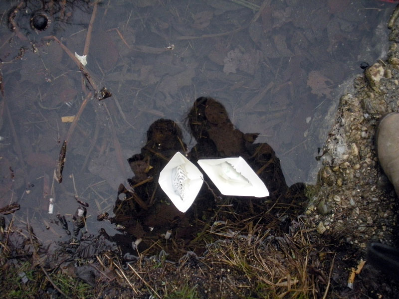 19_DSCN6042