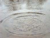 02_DSCN1460