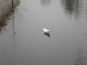 07_DSCN1304