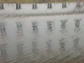 08_DSCN1474