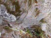 13_DSCN1345