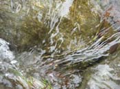 15_DSCN5180