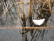 17_DSCN1308