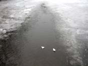 20_DSCN6053
