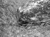 25_DSCN7160